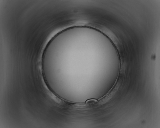 X0000101181342200807181439