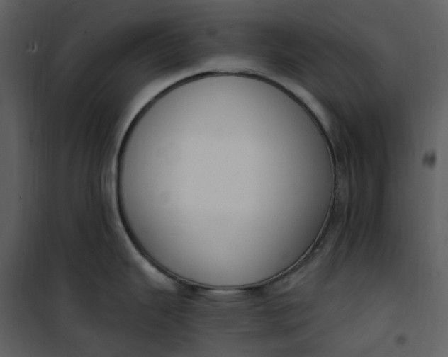 X0000101181343200807181439