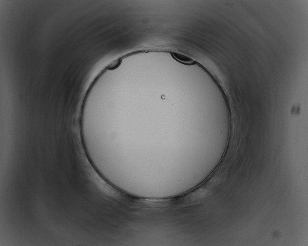 X0000101181344200807181439