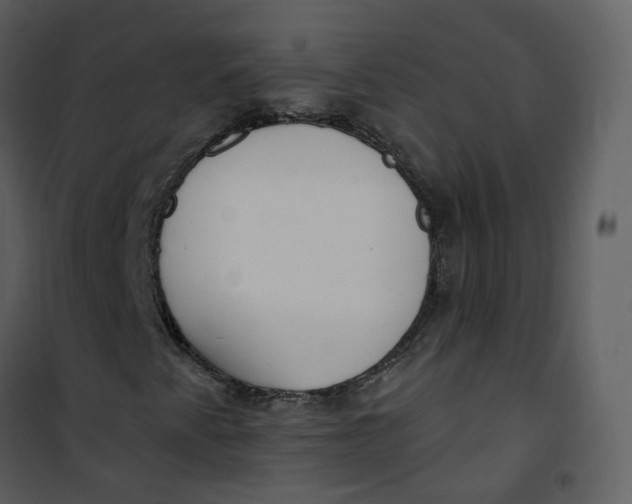 X0000101181345200807181438