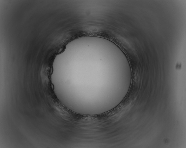 X0000101181346200807181438