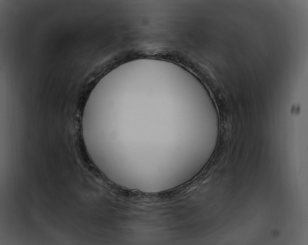 X0000101181349200807181438