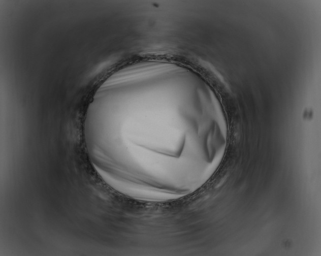 X0000101181350200807181438