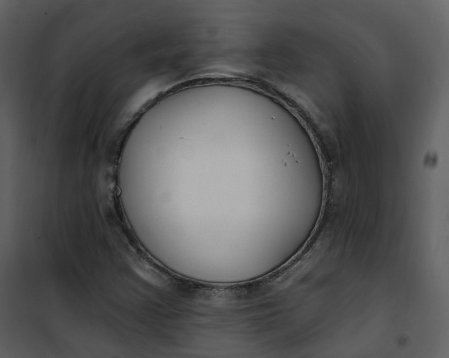 X0000101181355200807181438