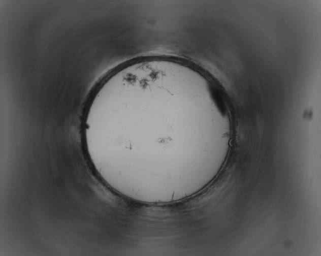 X0000101181356200807181438