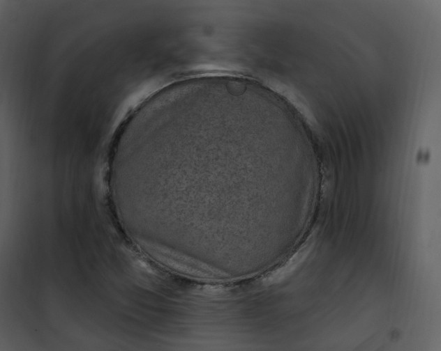 X0000101181357200807181438