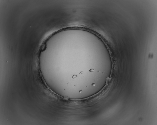 X0000101181358200807181438