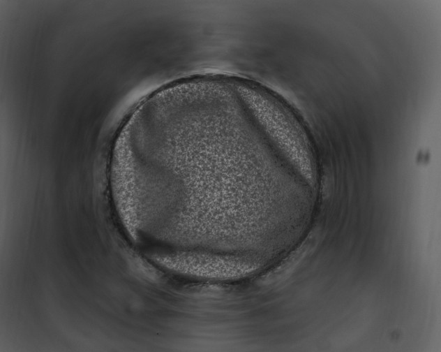 X0000101181359200807181438