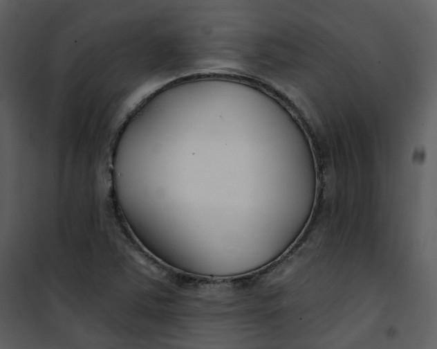 X0000101181363200807181438