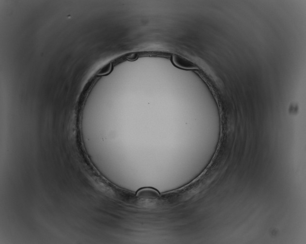 X0000101181364200807181438