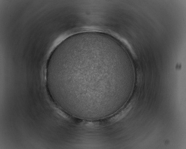 X0000101181365200807181438