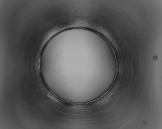 X0000101181366200807181438