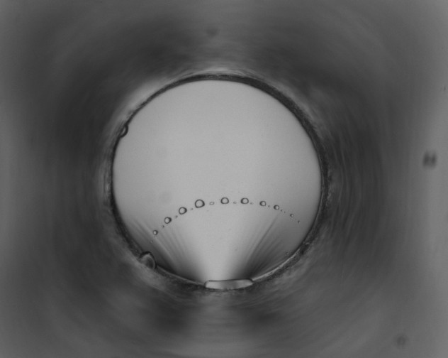 X0000101181367200807181438