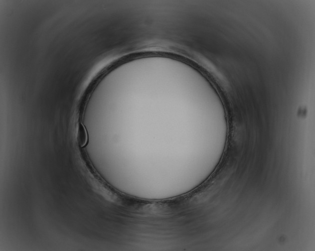 X0000101181368200807181438