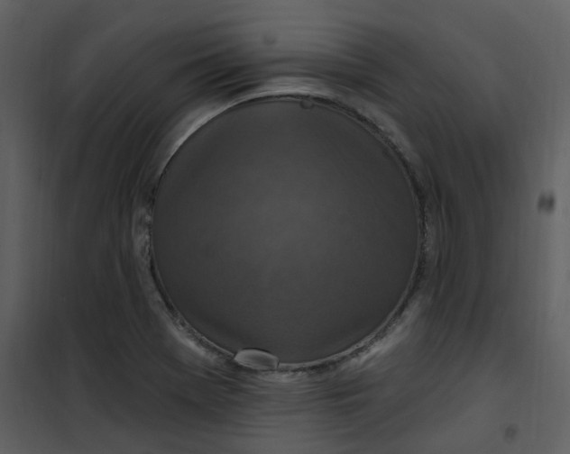 X0000101181369200807181438