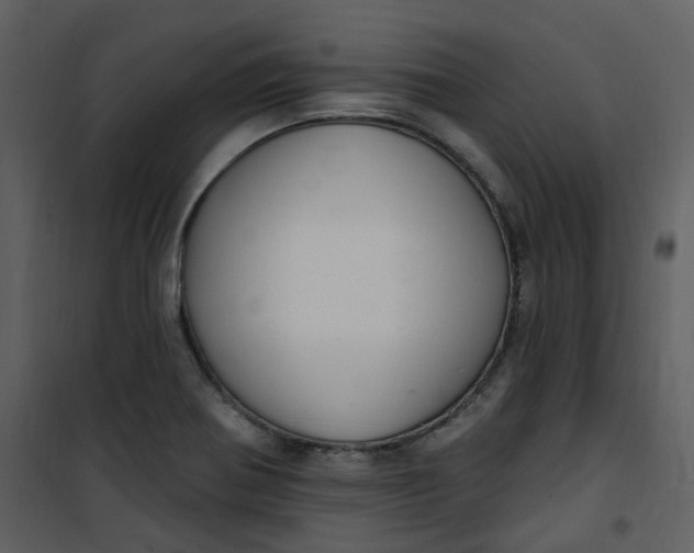 X0000101181370200807181438