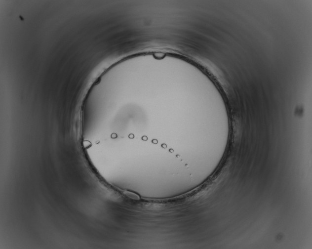 X0000101181371200807181438