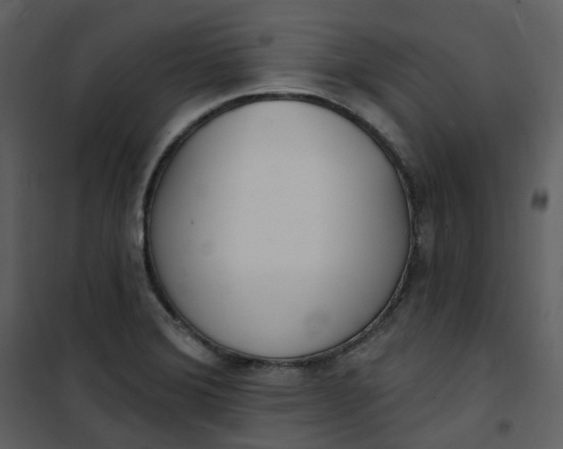 X0000101181372200807181438