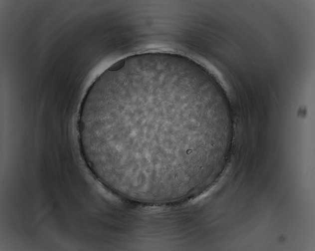 X0000101181373200807181438