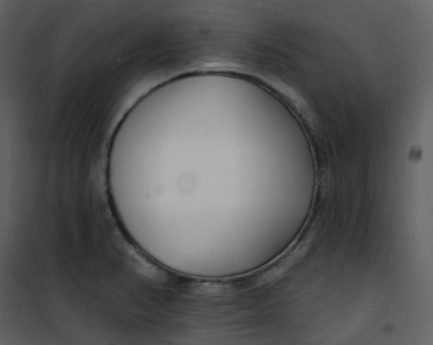 X0000101181374200807181438