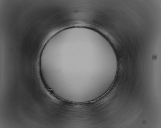 X0000101181375200807181438