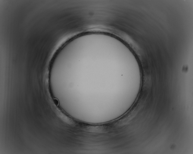 X0000101181376200807181438