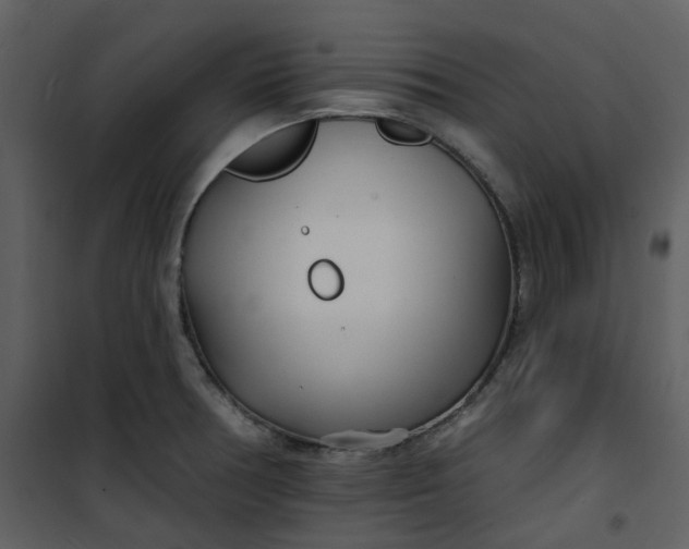 X0000101181378200807181438