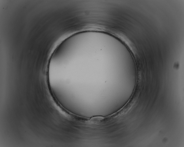 X0000101181379200807181438