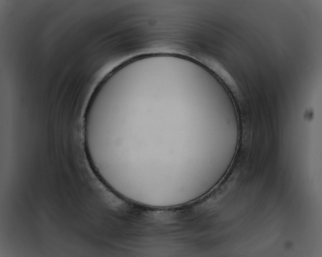 X0000101181380200807181438