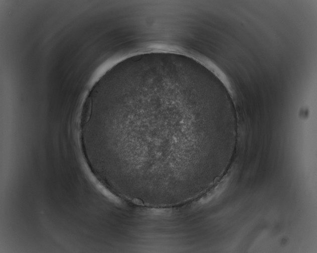 X0000101181381200807181438