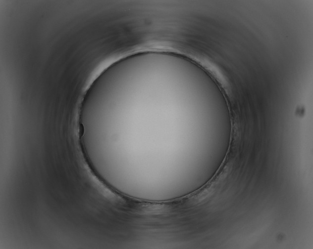 X0000101181382200807181438