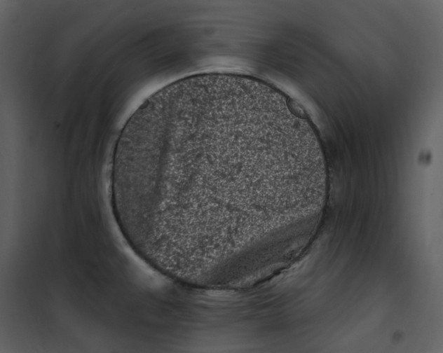 X0000101181383200807181437