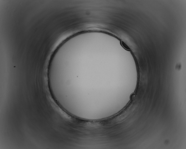 X0000101181384200807181437