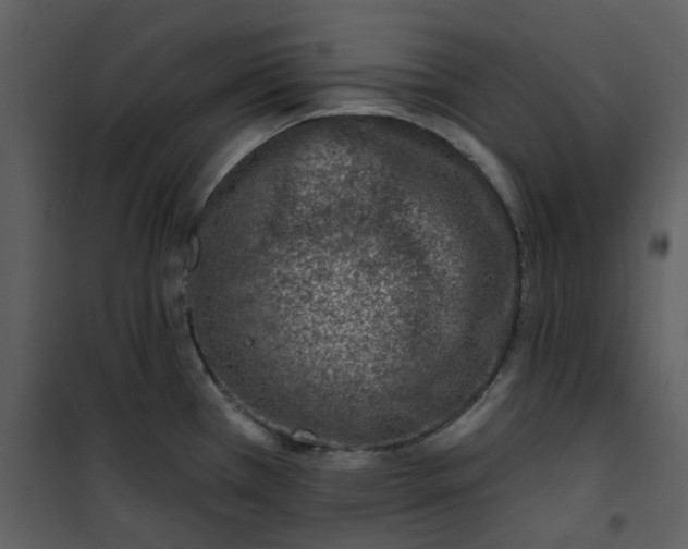 X0000101181385200807181437