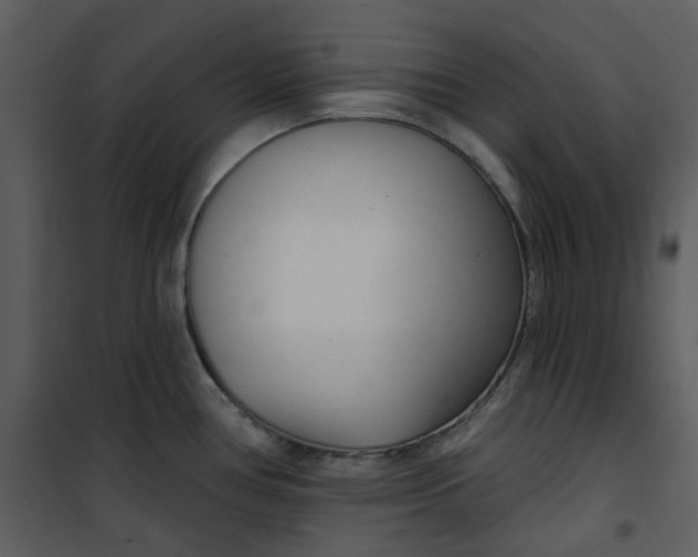 X0000101181386200807181437