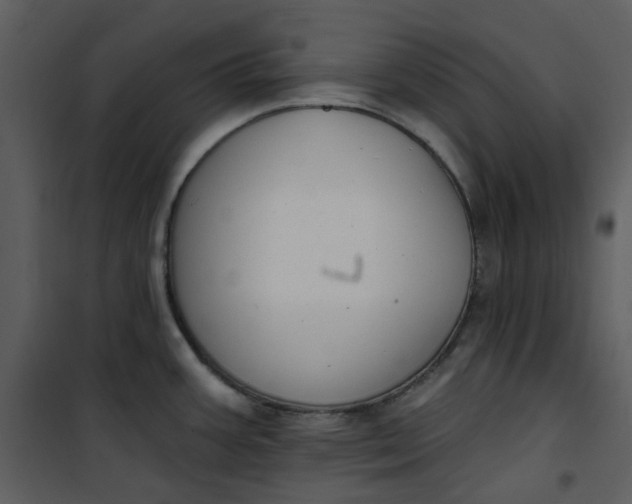 X0000101181387200807181437