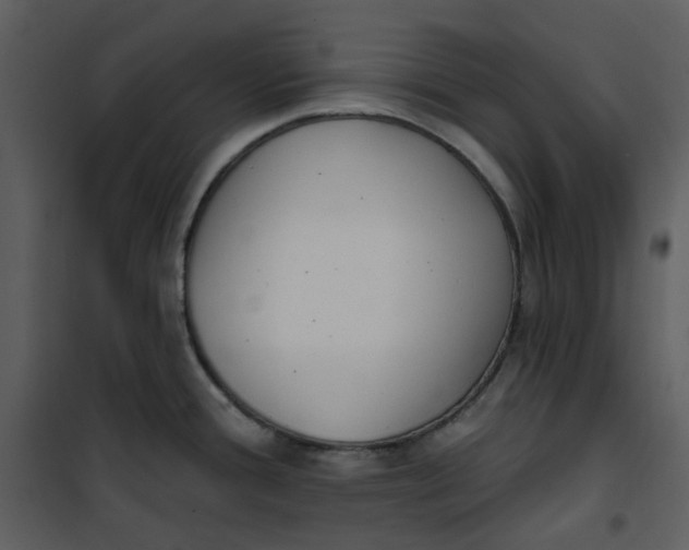 X0000101181388200807181437