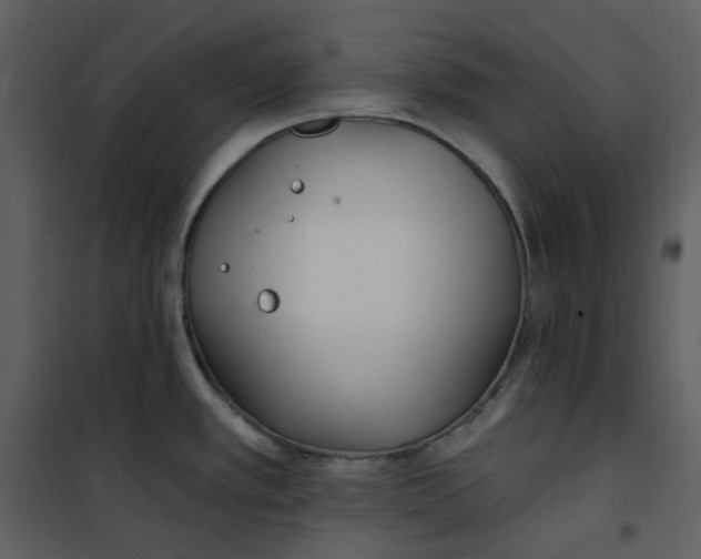 X0000101181389200807181437