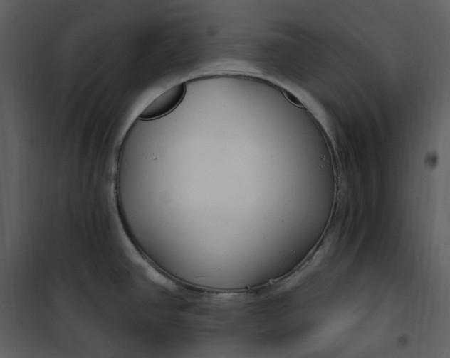 X0000101181390200807181437