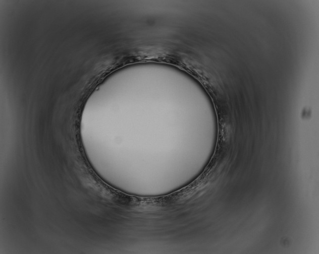 X0000101181393200807181437