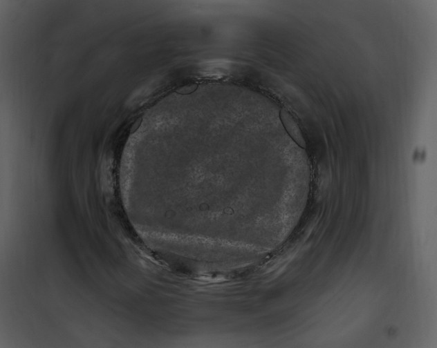 X0000101181394200807181437