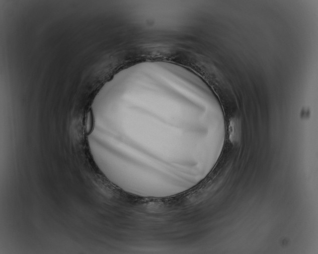 X0000101181395200807181437