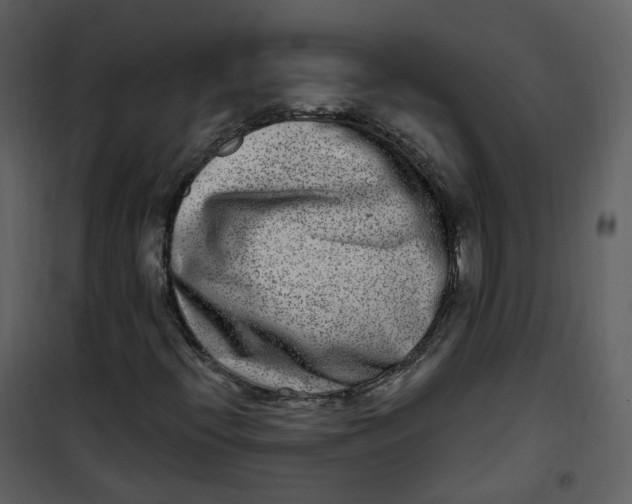 X0000101181396200807181437