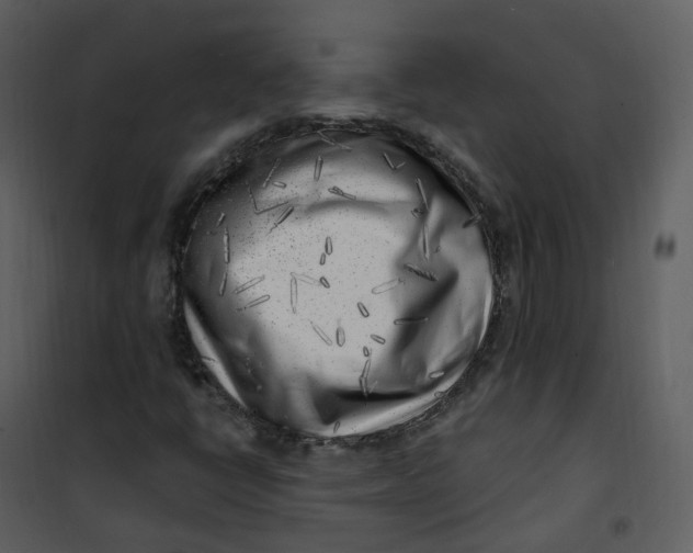 X0000101181398200807181437