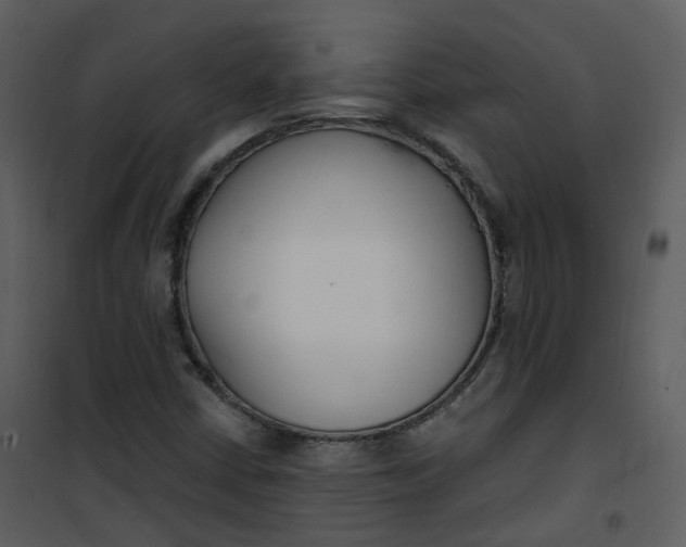 X0000101181402200807181437