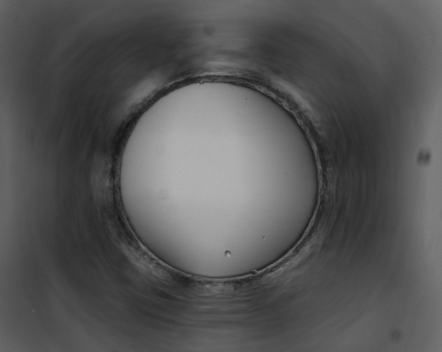 X0000101181403200807181437