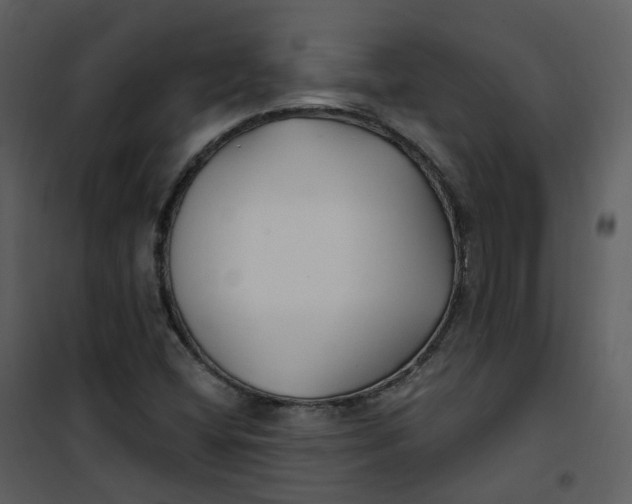 X0000101181404200807181437