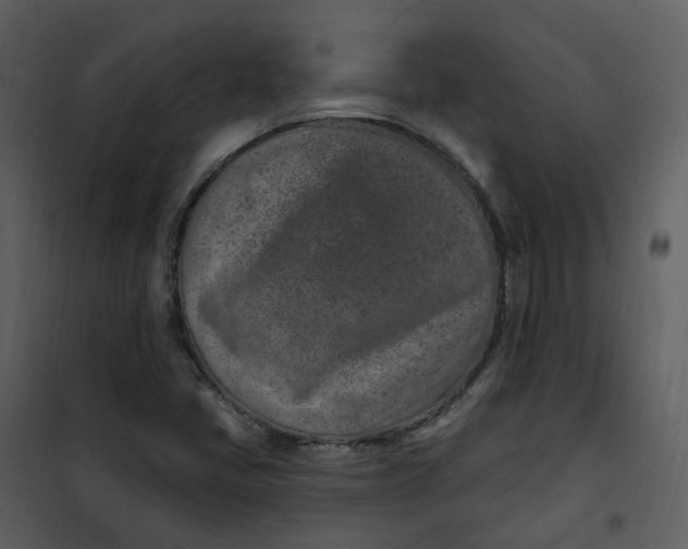 X0000101181405200807181437