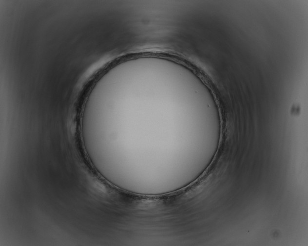 X0000101181406200807181437