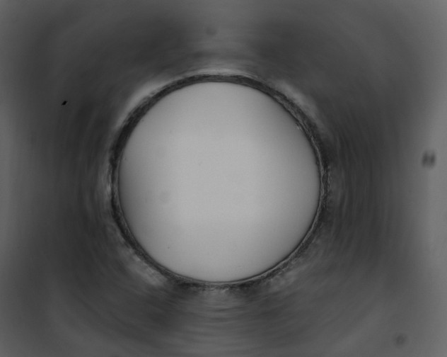 X0000101181408200807181437